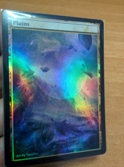 Plains #04 Foil Extended